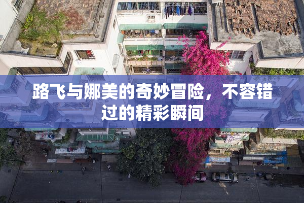路飞与娜美的奇妙冒险，不容错过的精彩瞬间
