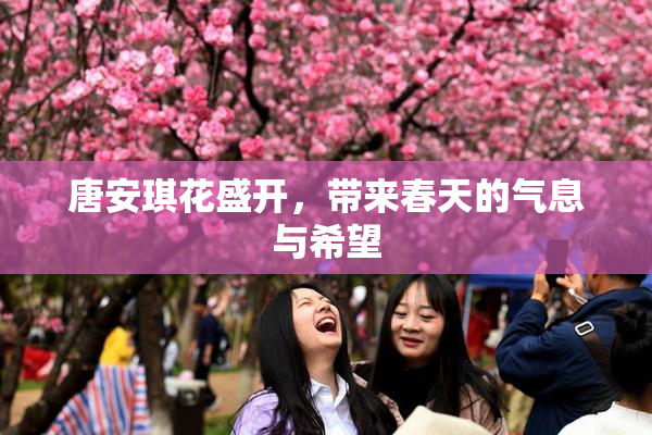 唐安琪花盛开，带来春天的气息与希望