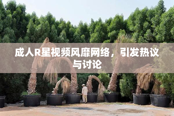 成人R星视频风靡网络，引发热议与讨论