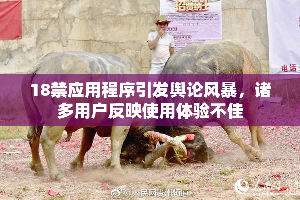 18禁应用程序引发舆论风暴，诸多用户反映使用体验不佳