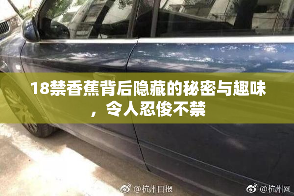18禁香蕉背后隐藏的秘密与趣味，令人忍俊不禁