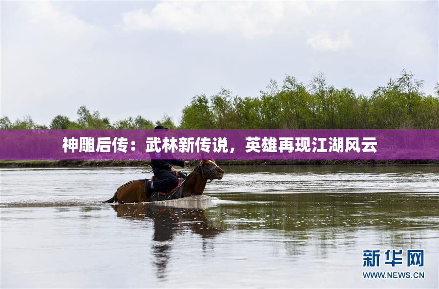 神雕后传：武林新传说，英雄再现江湖风云