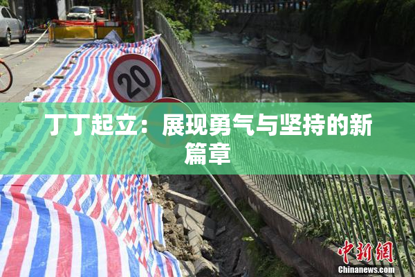 丁丁起立：展现勇气与坚持的新篇章