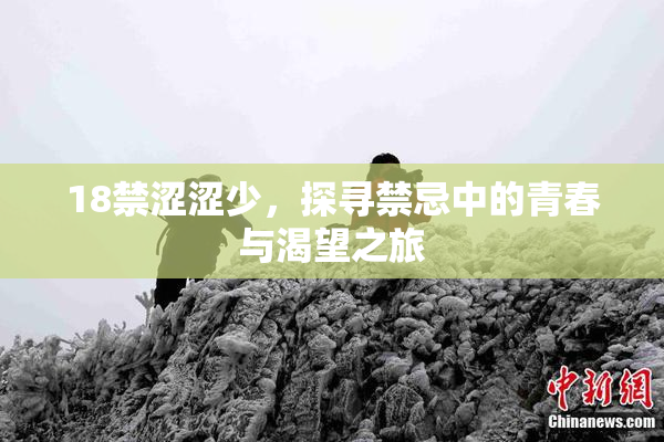 18禁涩涩少，探寻禁忌中的青春与渴望之旅