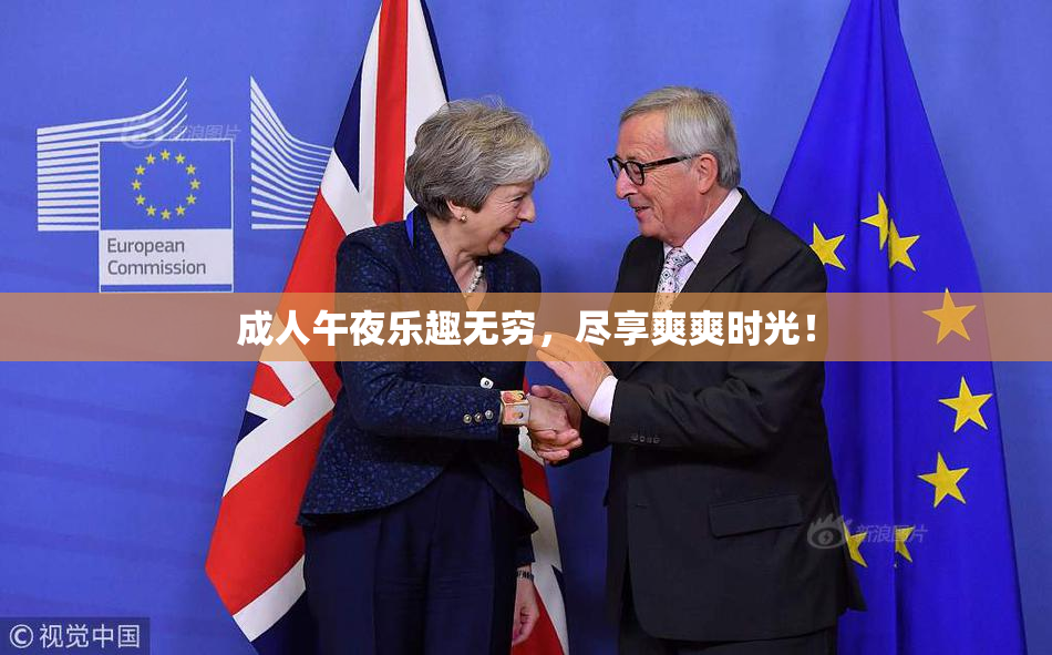 成人午夜乐趣无穷，尽享爽爽时光！