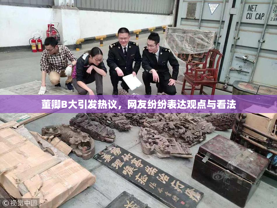 董卿B大引发热议，网友纷纷表达观点与看法