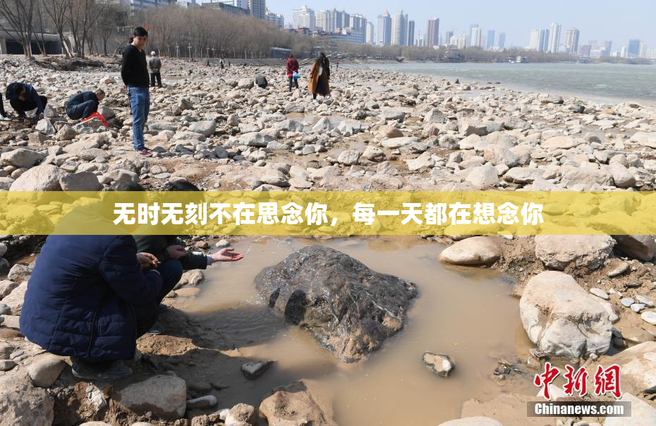 无时无刻不在思念你，每一天都在想念你