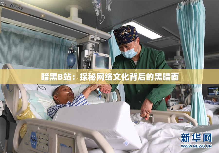 暗黑B站：探秘网络文化背后的黑暗面