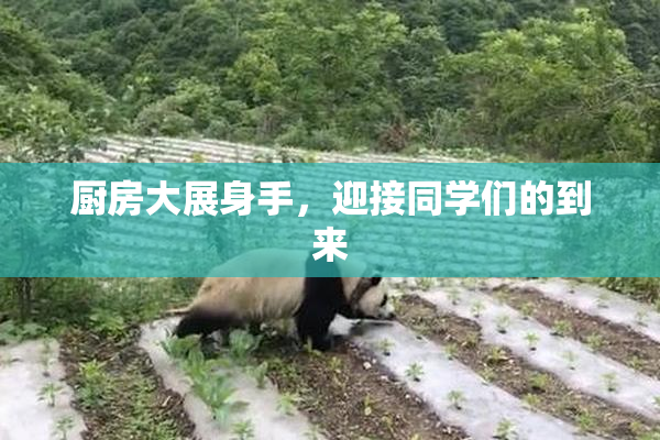 厨房大展身手，迎接同学们的到来