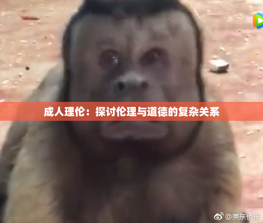 成人理伦：探讨伦理与道德的复杂关系