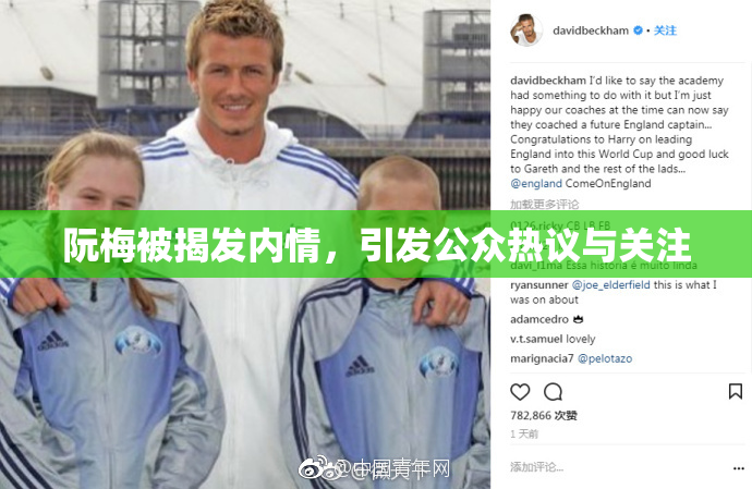 阮梅被揭发内情，引发公众热议与关注