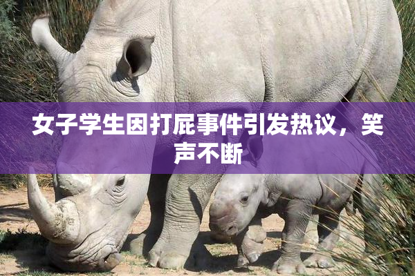 女子学生因打屁事件引发热议，笑声不断