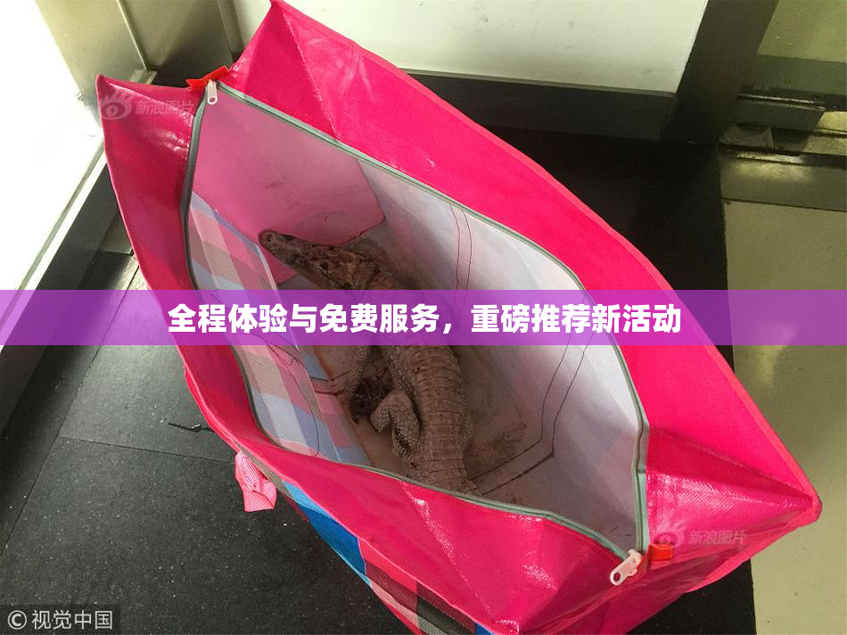 全程体验与免费服务，重磅推荐新活动