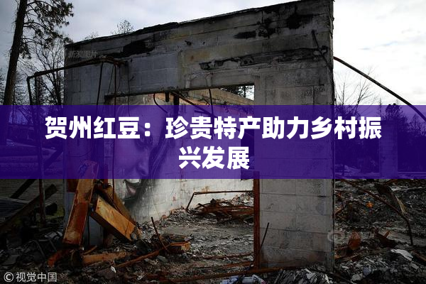 贺州红豆：珍贵特产助力乡村振兴发展