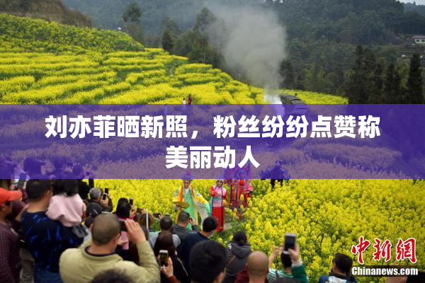 刘亦菲晒新照，粉丝纷纷点赞称美丽动人