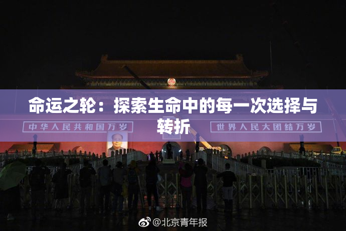 命运之轮：探索生命中的每一次选择与转折