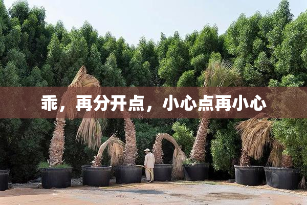 乖，再分开点，小心点再小心