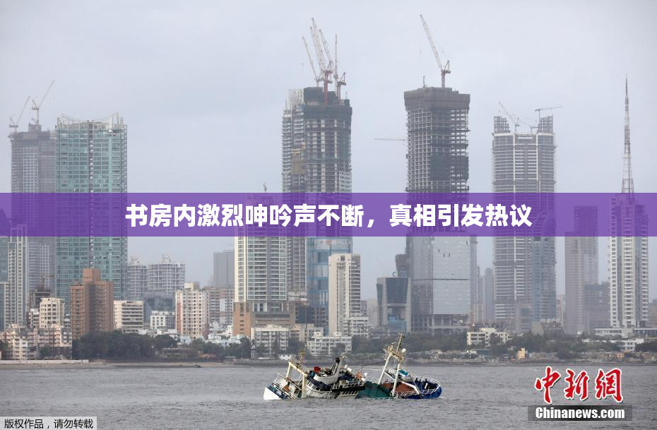 书房内激烈呻吟声不断，真相引发热议
