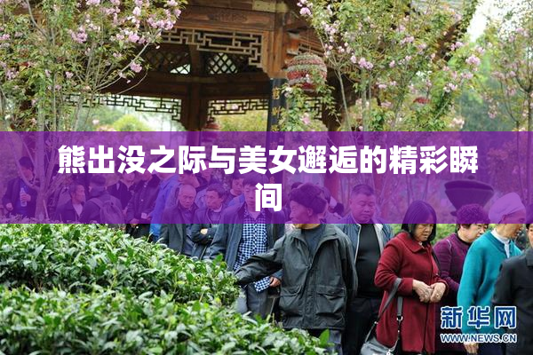 熊出没之际与美女邂逅的精彩瞬间