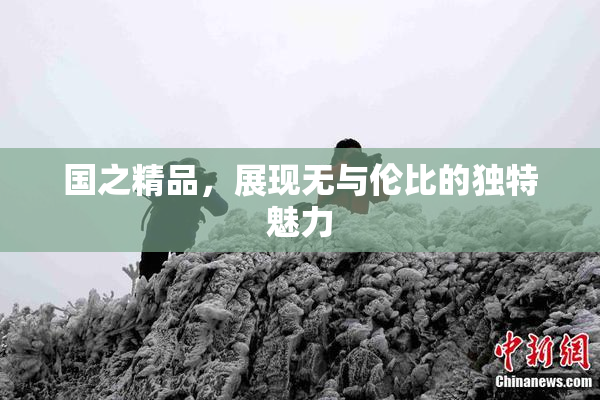 国之精品，展现无与伦比的独特魅力