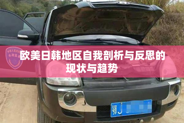 欧美日韩地区自我剖析与反思的现状与趋势