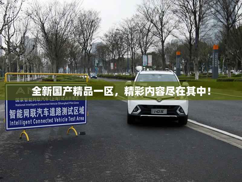 全新国产精品一区，精彩内容尽在其中！