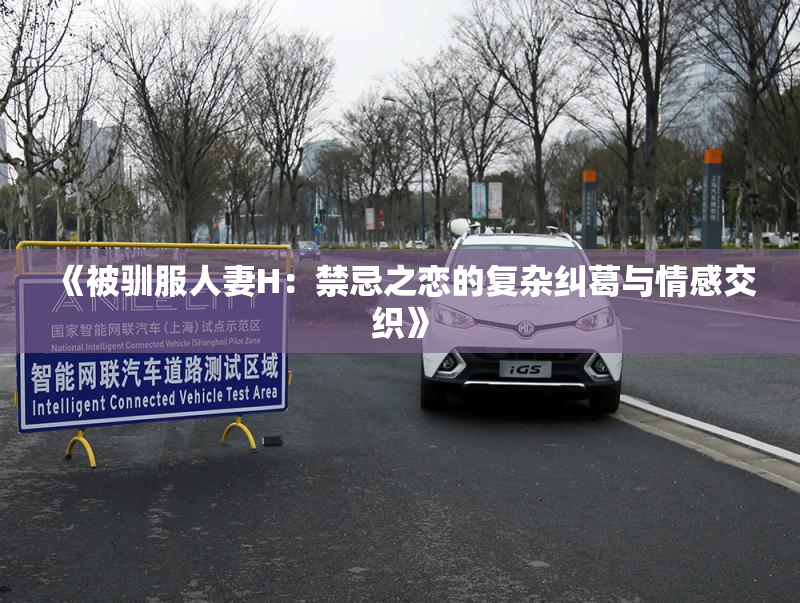 《被驯服人妻H：禁忌之恋的复杂纠葛与情感交织》