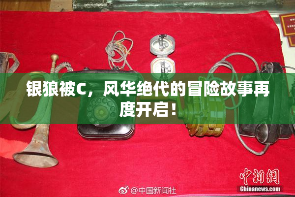 银狼被C，风华绝代的冒险故事再度开启！