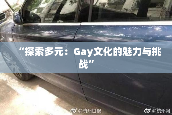 “探索多元：Gay文化的魅力与挑战”