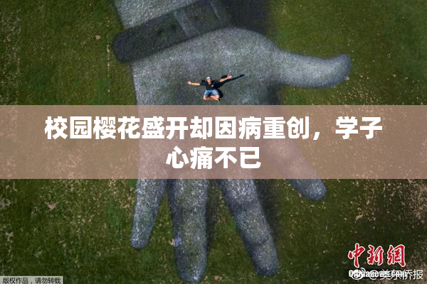 校园樱花盛开却因病重创，学子心痛不已