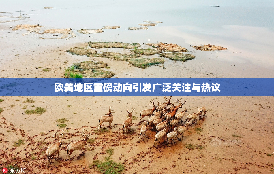 欧美地区重磅动向引发广泛关注与热议