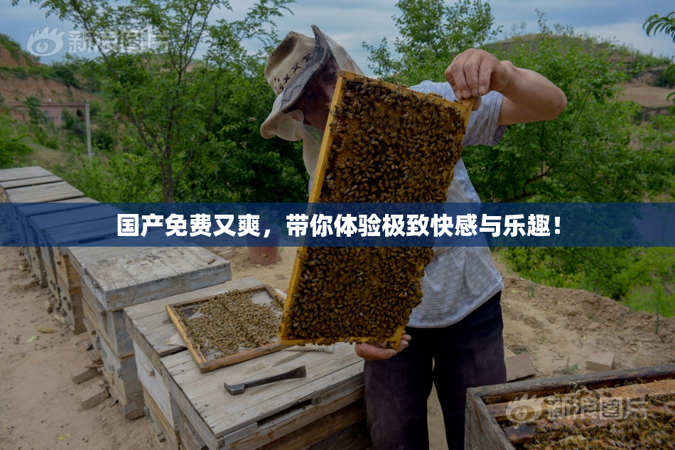 国产免费又爽，带你体验极致快感与乐趣！