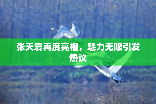张天爱再度亮相，魅力无限引发热议