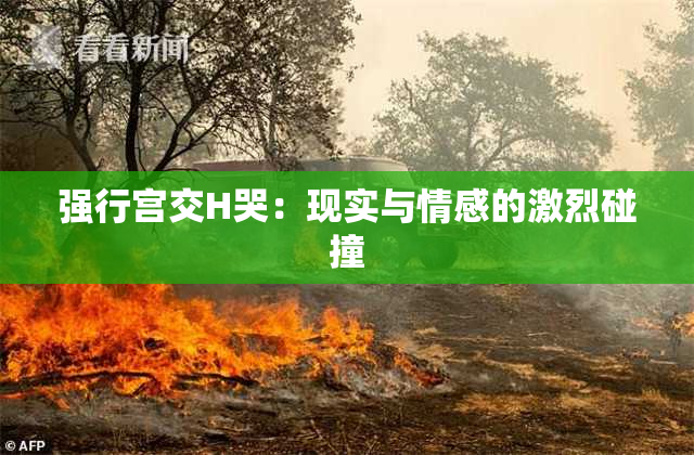 强行宫交H哭：现实与情感的激烈碰撞
