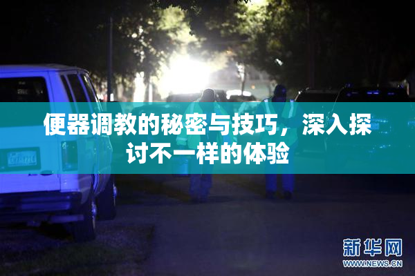 便器调教的秘密与技巧，深入探讨不一样的体验