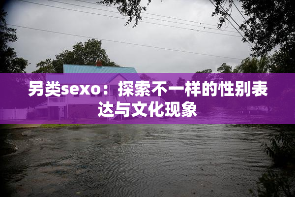 另类sexo：探索不一样的性别表达与文化现象