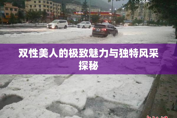 双性美人的极致魅力与独特风采探秘
