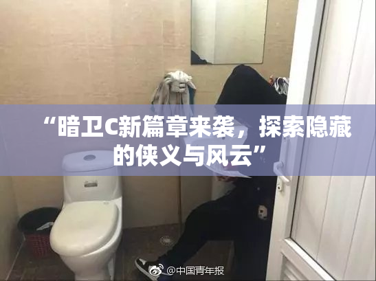 “暗卫C新篇章来袭，探索隐藏的侠义与风云”