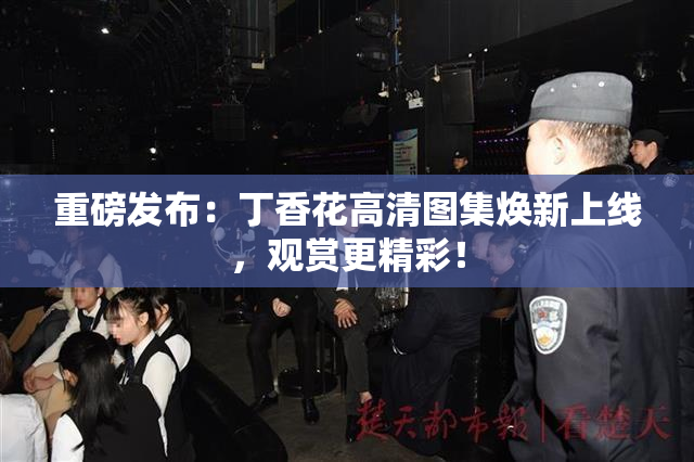 重磅发布：丁香花高清图集焕新上线，观赏更精彩！