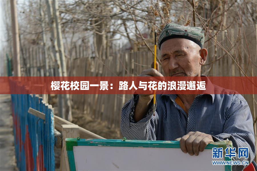樱花校园一景：路人与花的浪漫邂逅