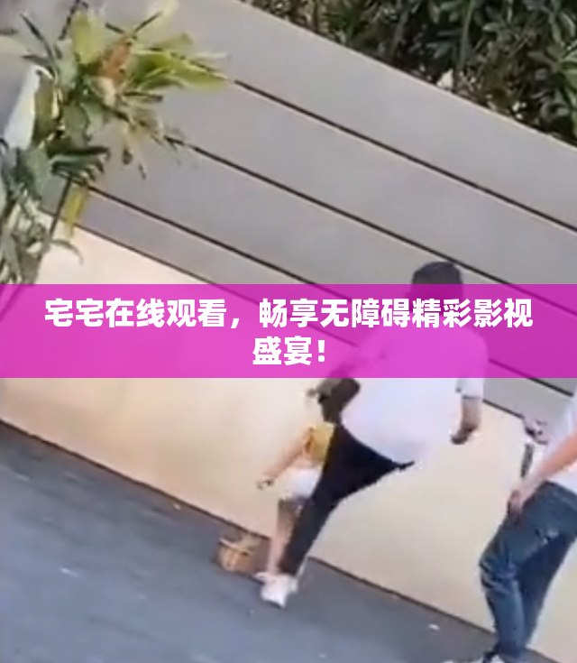 宅宅在线观看，畅享无障碍精彩影视盛宴！