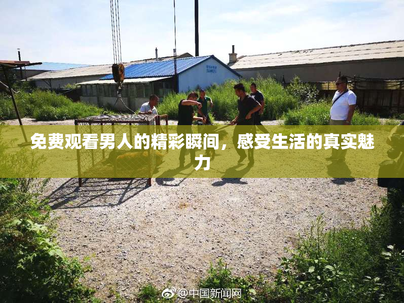 免费观看男人的精彩瞬间，感受生活的真实魅力