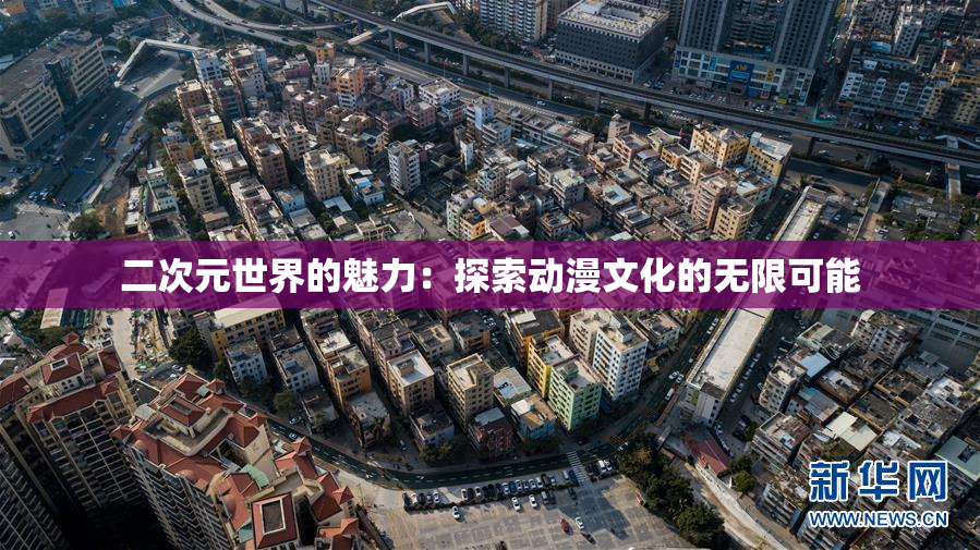 二次元世界的魅力：探索动漫文化的无限可能