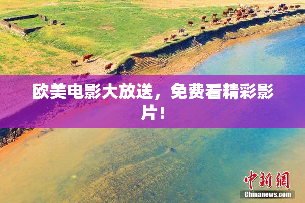 欧美电影大放送，免费看精彩影片！