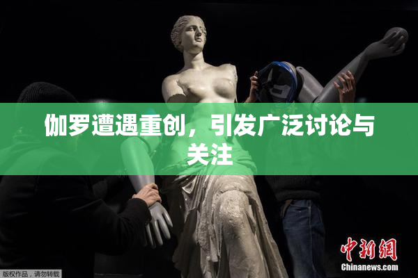 伽罗遭遇重创，引发广泛讨论与关注