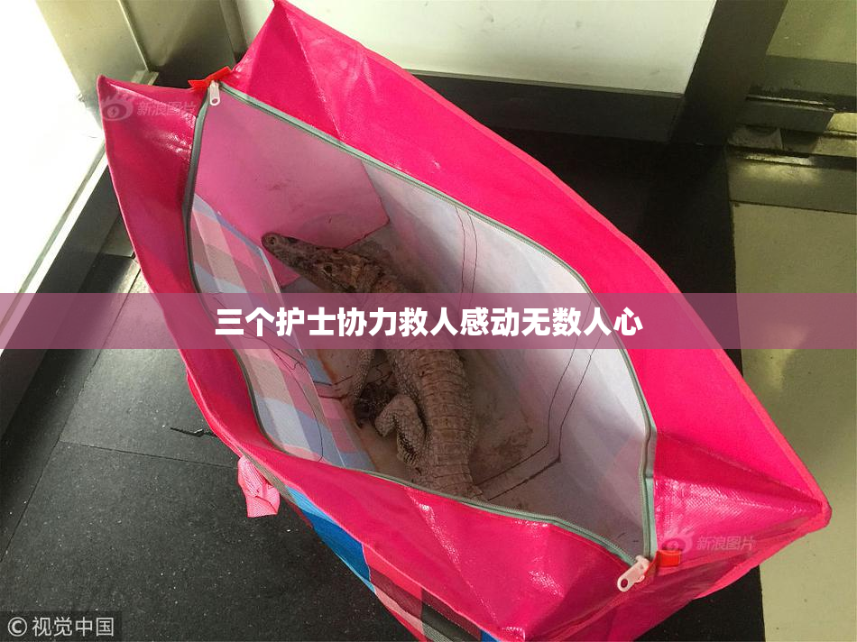 三个护士协力救人感动无数人心