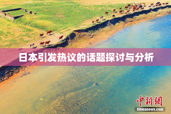 日本引发热议的话题探讨与分析