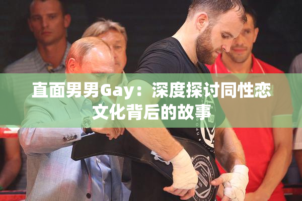 直面男男Gay：深度探讨同性恋文化背后的故事