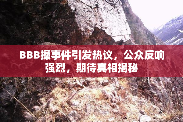 BBB搡事件引发热议，公众反响强烈，期待真相揭秘