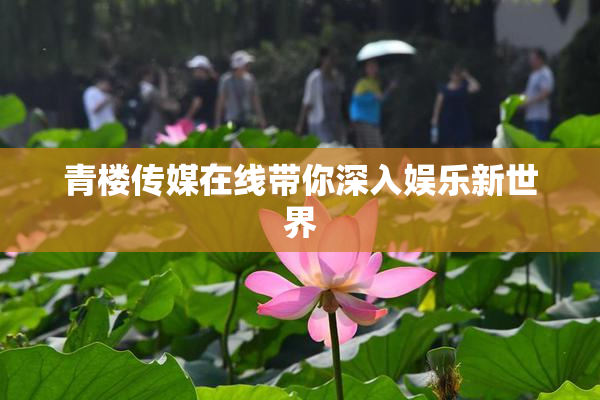 青楼传媒在线带你深入娱乐新世界
